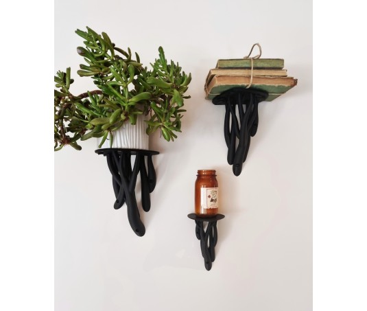 Plank "Entagle Leaf"