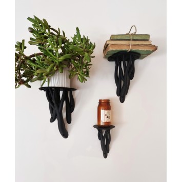 Plank "Entagle Leaf"