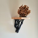 Hylla "Entangle Shelf" Hylla "Entangle Shelf"